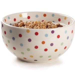 ISO Fishs Eddy Spot On Polka Dot bowl